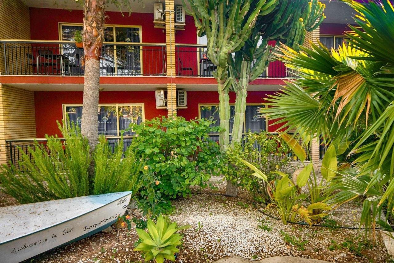 Apartamentos Palasiet Benidorm Exteriör bild
